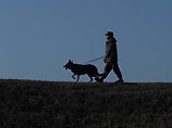 Американский солдат намерен забрать с собой в Техас собаку Хусейна Американский солдат намерен забрать с собой в Техас собаку Хусейна