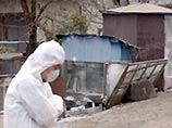В Японии подтверждена новая вспышка заболевания "птичьим гриппом"
