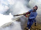 Эпидемия лихорадки Денге: 175 человек скончались, 9000 госпитализированы Эпидемия лихорадки Денге: 175 человек скончались, 9000 госпитализированы