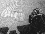 Opportunity нащупал соленую воду в марсианской норе Opportunity нащупал соленую воду в марсианской норе