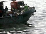 Но танкер Джессика, который перевозил дизельное топливо и сел на мель у побережья островов, по-прежнему представляет собой опасность для уникальной природы Галапагосов