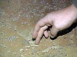 В Подмосковье в жилом доме найдено 8 кг разлившейся ртути В Подмосковье в жилом доме найдено 8 кг разлившейся ртути