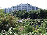 Швейцария превращается в каменные джунгли Швейцария превращается в каменные джунгли