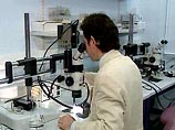Россия в 2020 году: что нас ждет Россия в 2020 году: что нас ждет