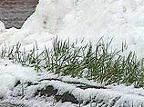 На Ставрополье после грозы выпало столько снега, сколько не выпадало за всю зиму