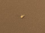 На нескольких первых фотографиях, переданных Opportunity из точки своей посадки в марсианском районе Меридиане Планум, отчетливо виден некий объект желтоватого цвета, весьма напоминающий маленького кролика с забавно торчащими большими ушами