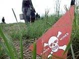 Американцы испытывали противопехотные мины на трупах соотечественников Американцы испытывали противопехотные мины на трупах соотечественников