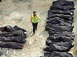 Посольство РФ в Мадриде перепроверило списки пострадавших при терактах и не нашло в них россиян Посольство РФ в Мадриде перепроверило списки пострадавших при терактах и не нашло в них россиян