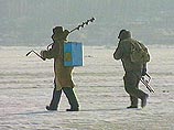 В Финском заливе с дрейфующей льдины спасен 91 рыбак
