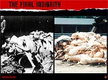 На плакатах, призывающих граждан отказаться от употребления в пищу мяса, цыплята и поросята сравниваются с евреями, погибшими во время Холокоста