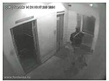 В Петербурге грабителя и убийцу поймали при помощи видеозаписи (ВИДЕО)