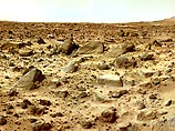 На Марсе есть жизнь и она, скорее всего, занесена туда с Земли. Такое заявление сделал специалист университета Флориды Эндрю Шергер, выступая на научной конференции в Хьюстоне