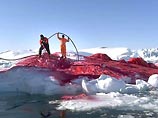 Датский художник после перемолотых рыбок в миксере взялся за айсберги