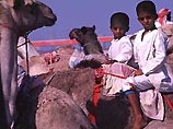 Раньше в верблюжьих гонках часто использовали детей в качестве жокеев