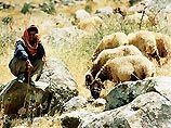 Например, в большинстве стран Ближнего Востока до сих пор действует один из фундаментальных законов ислама: ни в коем случае нельзя кушать ту овечку, с которой имел половую связь