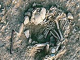 Хорошо сохранившийся скелет кошки был найден всего в 40 см от останков человека. Археологи предполагают, что они были погребены вместе - положения тел одинаковы