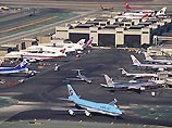 Международный аэропорт Лос-Анджелеса остался без электричества из-за птицы