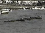 В Амурской области паводковые воды
прорвали дамбу В Амурской области паводковые воды
прорвали дамбу