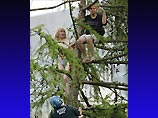 Необычное зрелище ожидало посетителей Центрального парка Нью-Йорка в пятницу: два гея в знак протеста забрались на дерево и четыре часа занимались там сексом, в перерывах оскорбляя полицейских и собравшуюся вокруг толпу народа
