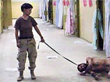На титульную страницу издания вынесена фотография 21-летней американской военнослужащей Линди Ингланд, где она держит на ошейнике голого мужчину, скорчившегося на полу На титульную страницу издания вынесена фотография 21-летней американской военнослужащей Линди Ингланд, где она держит на ошейнике голого мужчину, скорчившегося на полу