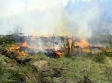 В Челябинской области бушуют лесные пожары. Введен режим чрезвычайной ситуации В Челябинской области бушуют лесные пожары. Введен режим чрезвычайной ситуации