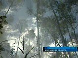 В результате лесостепных пожаров в населенном пункте Чашинск Курганской области погибли семь человек, сообщил "Интерфаксу" в субботу оперативный дежурный МЧС России