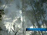 В результате лесостепных пожаров в населенном пункте Чашинск Курганской области погибли семь человек, сообщил "Интерфаксу" в субботу оперативный дежурный МЧС России В результате лесостепных пожаров в населенном пункте Чашинск Курганской области погибли семь человек, сообщил "Интерфаксу" в субботу оперативный дежурный МЧС России