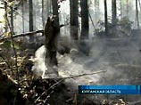 По состоянию на 3:00 мск субботы, в зоне пожаров сгорело 377 жилых домов, из них 322 - в Чашинске. Облет охваченной огнем в Курганской области территории показал, что за ночь площадь лесостепных пожаров возросла до 4 тыс. га По состоянию на 3:00 мск субботы, в зоне пожаров сгорело 377 жилых домов, из них 322 - в Чашинске. Облет охваченной огнем в Курганской области территории показал, что за ночь площадь лесостепных пожаров возросла до 4 тыс. га