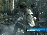 В Курганской области лесные пожары уничтожили 377 домов - 7 человек погибли