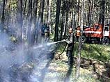 В Курганской области локализированы два основных очага лесных пожаров: 8 погибших