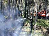 В Курганской области локализированы два основных очага лесных пожаров: 8 погибших В Курганской области локализированы два основных очага лесных пожаров: 8 погибших