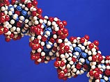 Биологи США выяснили, что секс нужен для того, чтобы защищаться от паразитов Биологи США выяснили, что секс нужен для того, чтобы защищаться от паразитов