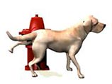 В Вологде для шарма и колорита поставили памятник "писающей собаке"