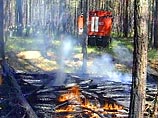 На территории Свердловской области потушены все крупные пожары