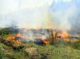 В Свердловской области потушены все крупные лесные пожары В Свердловской области потушены все крупные лесные пожары