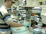 Ученые начали первые опыты по клонированию черного японского племенного быка еще 17 лет назад Ученые начали первые опыты по клонированию черного японского племенного быка еще 17 лет назад