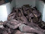 От тропических дождей на Гаити погибли уже 2 тысячи человек От тропических дождей на Гаити погибли уже 2 тысячи человек