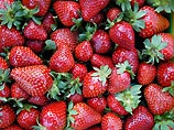 После того, как были обнародованы данные исследования, в котором клубника названа "природной Виагрой", уровень продаж этой ягоды в супермаркетах Великобритании увеличился на 17%