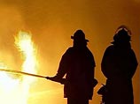 При пожаре в Петербурге сгорели 10 лошадей При пожаре в Петербурге сгорели 10 лошадей