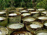 Более 7 тысяч литров яда обнаружено на территории бывшей воинской части в Мурманской области