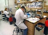 В московском Институте иммунологии создана первая в России вакцина против СПИДа, которая прошла доклинические испытания на животных и готова для клинического испытания на людях