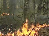 Гигантский пожар на Камчатке: огнем охвачено более 1400 гектаров леса и тундры