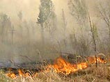 Специалисты рассчитывают на то, что ликвидировать возгорания помогут дожди, смещающиеся в Мильковский и Усть-Камчатский районы с юга полуострова