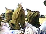 Британские военные запытали до смерти минимум семерых иракцев Британские военные запытали до смерти минимум семерых иракцев