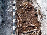 Скелеты семерых мужчин, которым около 4300 лет, были найдены во время строительных работ недалеко от построек Стоунхенджа. После длительных исследований, британские археологи объявили, что именно эти люди принимали участие в строительстве знаменитого куль