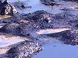 В результате обрушения причала в воды Финского залива вылилась тонна мазута