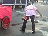 В Германии цирковые слоны загадили город своими экскрементами В Германии цирковые слоны загадили город своими экскрементами
