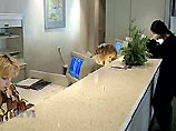 Российские банки после прекращения обслуживания клиентов Гута-банком поддались панике и начали распродажу всех имеющихся активов, включая недвижимость Российские банки после прекращения обслуживания клиентов Гута-банком поддались панике и начали распродажу всех имеющихся активов, включая недвижимость