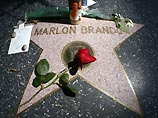 Адвокаты Марлона Брандо опровергли слухи о том, что финансовое положение актера было плачевным
