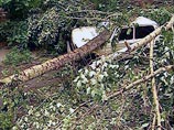 В ближайшие часы на Москву обрушится гроза и усилится ветер В ближайшие часы на Москву обрушится гроза и усилится ветер